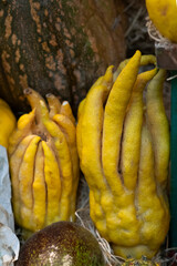 Citrus yellow fruits on the market, Canaries