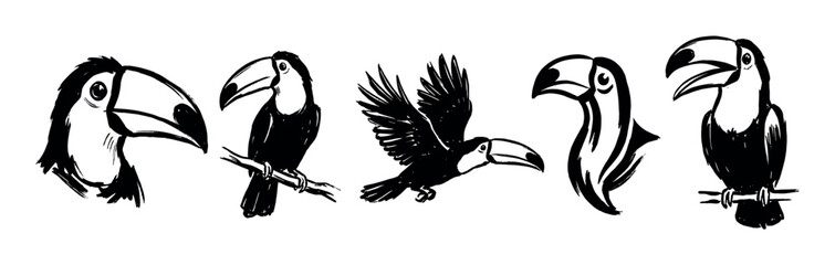 Fototapeta premium Collection of hand-drawn toucan illustrations in a bold black and white ink sketch style, showing the exotic bird in various poses like flying and perching on a branch