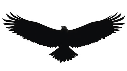 Fototapeta premium A striking silhouette of an eagle in full flight, showcasing the majesty of the bird's wingspan. The image portrays strength, freedom and aerial prowess.
