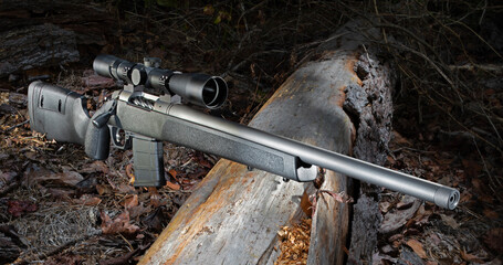 Obraz premium Dark forest with a bolt action rifle on a downed tree
