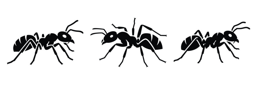 ant silhouette icon set. Animals logos collection and isolated on White background