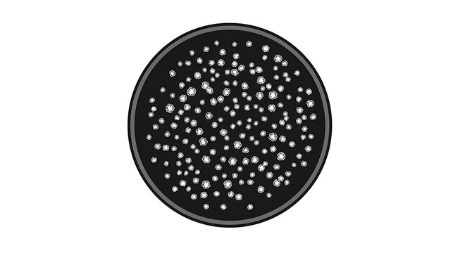 A black petri dish filled with many colonies