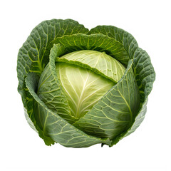 Fototapeta premium Fresh green cabbage on white background