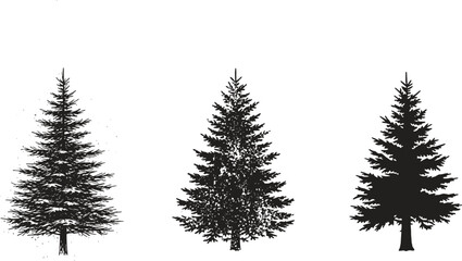Three black pine tree silhouettes in different detail levels isolated on white background, evergreen forest illustration for design use