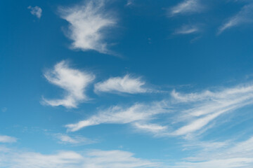 Obraz premium Cloudy skyscape background. Cloudscape sky background. Cloud in the sky. Background with cloud. Gloomy sky with overcast clouds. Skyscape and cloudscape. Color contrast. Sky with clouds