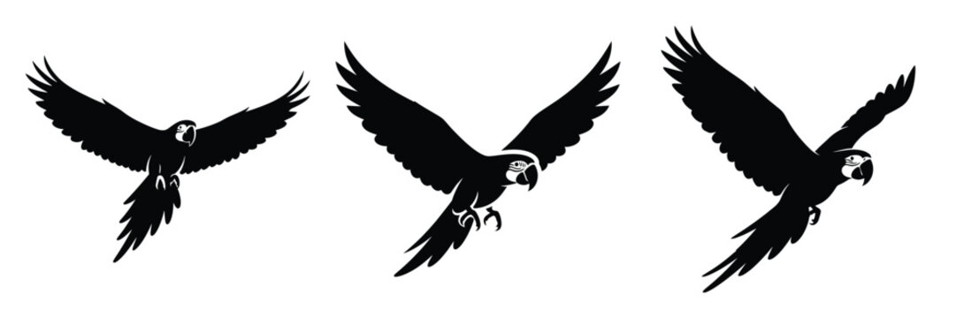 macaw silhouette icon set. Animals logos collection and isolated on White background