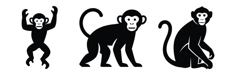 monkey silhouette icon set. Animals logos collection and isolated on White background © Bina