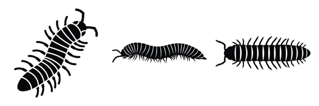 millipede silhouette icon set. Animals logos collection and isolated on White background