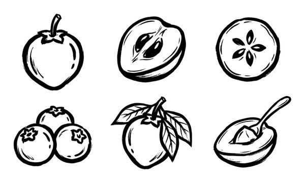 Various hand-drawn fruit illustrations depict fresh healthy produce in a rustic ink sketch style, showcasing whole and cut fruits with organic textures