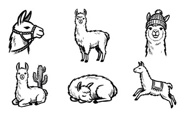Fototapeta premium Six cute hand-drawn black and white llamas are depicted in various playful poses and expressions, including a jumping one, a sleeping pair, and one wearing a hat