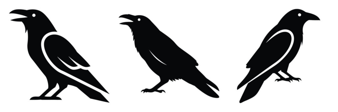 raven silhouette icon set. Animals logos collection and isolated on White background