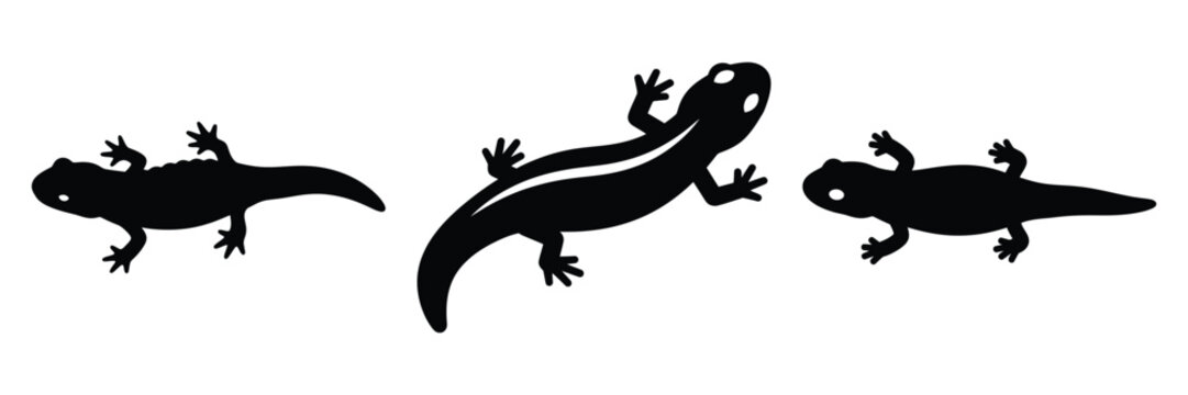 salamander silhouette icon set. Animals logos collection and isolated on White background