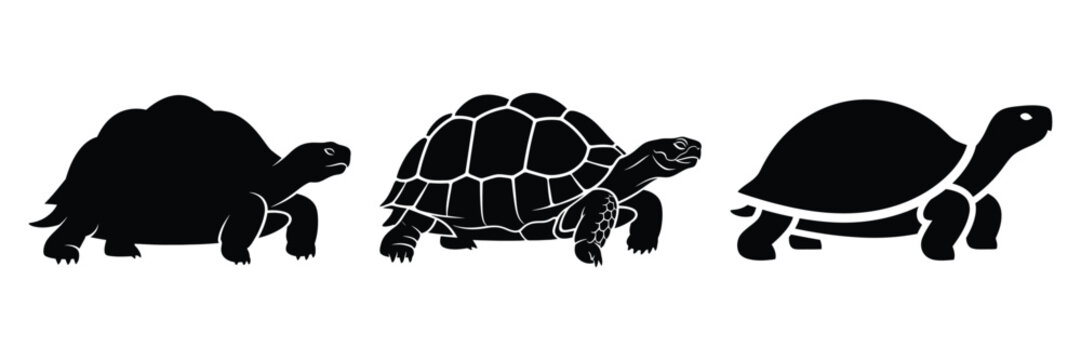 tortoise silhouette icon set. Animals logos collection and isolated on White background