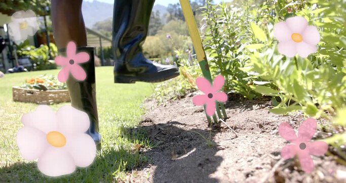 Gardener stomping fork using right-foot at bed edge, loosening soil, pink flowers overlaying boots