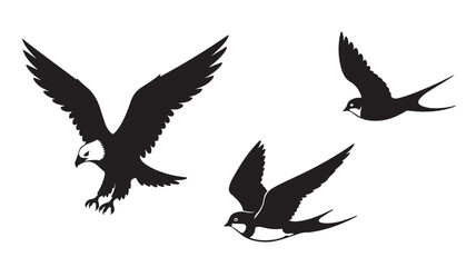 Fototapeta premium Black Birds Flying Silhouettes on White Background