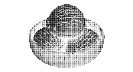 Black and white halftone illustration of a clam or mussel shell on a white background with intricate details and shading. © Monivara Creations