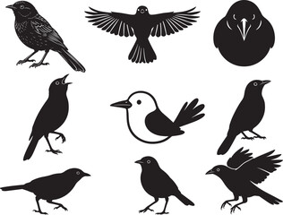 Obraz premium Bellbird Singing Forest Bird Silhouette