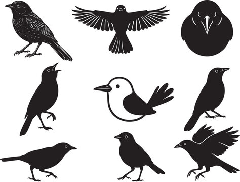 Bellbird Singing Forest Bird Silhouette