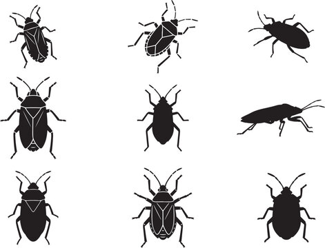 Boxelder Bug Garden Insect Simple Silhouette