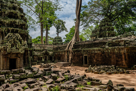 Ancient tree roots overgrowing Ta Prohm temple ruins in Angkor