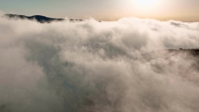A drone captures flying above the clouds during sunrise over Fanal forest in Madeira, Portugal. The view shows the trees emerging from cloud layers as the sun rises. Slide trucking shot