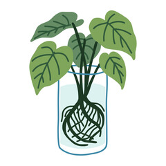 Green tropical houseplant water propagation doodle with glass vase and roots featuring indoor botanical decoration © Wobbly Hand