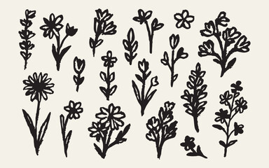 Hand Drawn Floral Doodle Elements Set with Wildflowers, Leaves and Botanical Garden Plants Vector Illustration