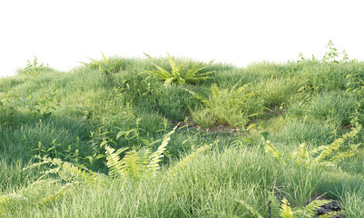 Hills with grass on a transparent background. 3D rendering