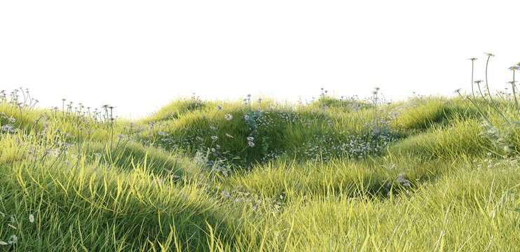 Hills with grass on a transparent background. 3D rendering