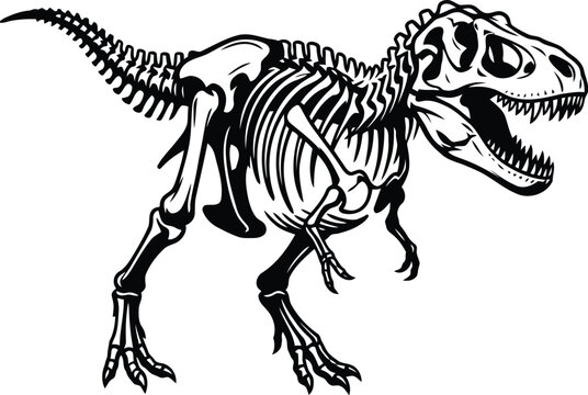 Black and white line art illustration of a roaring tyrannosaurus rex dinosaur skeleton