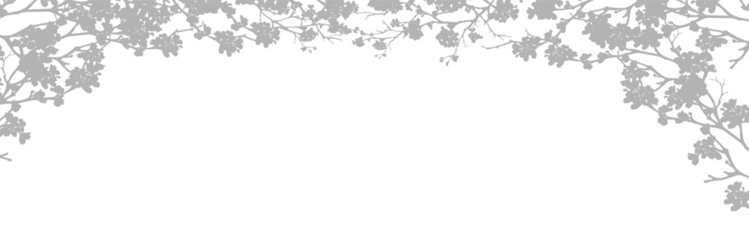 Shadow Cherry blossom branch silhouette on white background.Elegant sakura floral frame  Minimal botanical design overlay ideal for wedding invitations,greeting cards,spring banners,stationery
