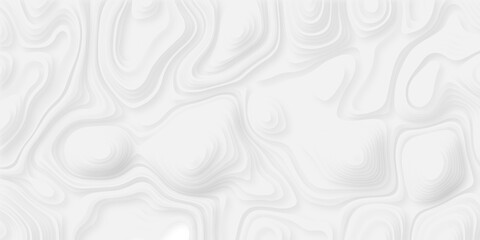 Topographic seamless map pattern with contour lines. Abstract geographic elevation design, lines sea map modern white background. © coal digger