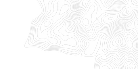 Topographic seamless map pattern with contour lines. Abstract geographic elevation design, lines sea map modern white background. © coal digger