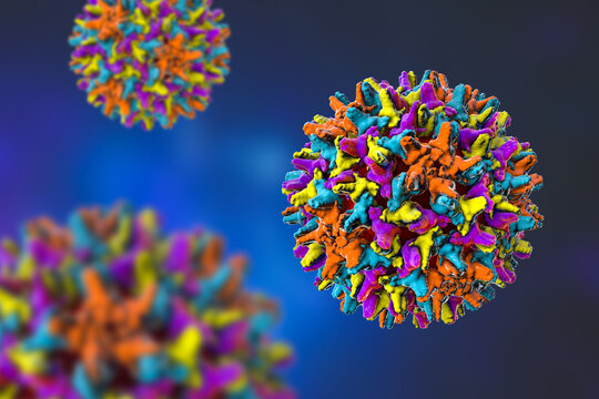 Hepatitis B virus, 3D illustration