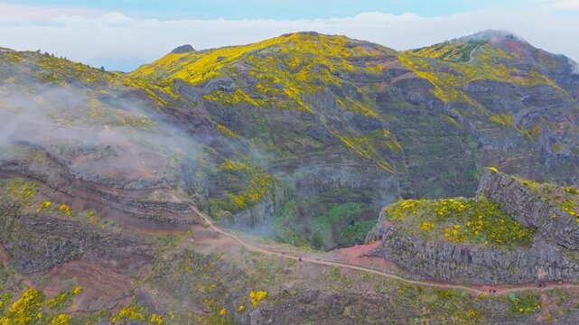 A mountain covered in fog and clouds with blooming Cytisus shrubs. Near Pico de Arieiro , Madeira island, Portugal. Push in approach dolly move