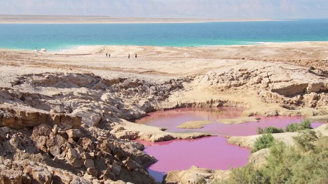 Pink salt pools near Dead sea shore with turquoise water rocky coast mineral landscape unusual nature concept Jordan