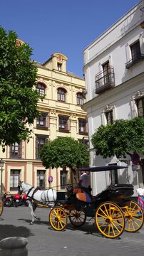 Horse Drawn Carriage Tour Through Historic Seville Spain