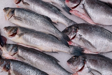 Obraz premium Numerous fresh whole raw sea bass and sea bream positioned on a glistening crushed ice display