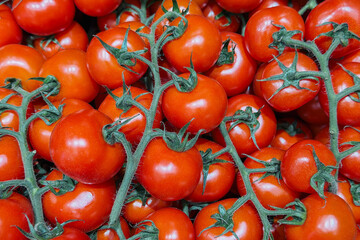 Full frame detailed view of abundant fresh ripe red cherry tomatoes on green vines healthy organic produce © reddish