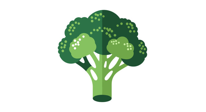 Flat style broccoli icon on white background for healthy cooking themes