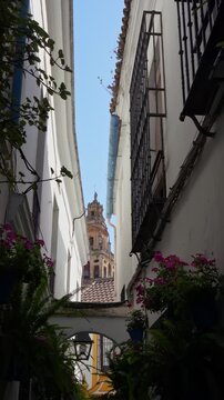 Calleja de las Flores with Mosque Cathedral Tower in Cordoba Spain