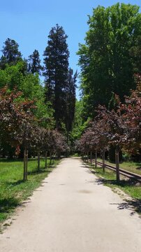 Peaceful garden pathways in Aranjuez royal gardens Spain