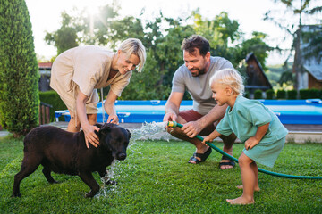 Parents and child cooling dog with water on sunny day.