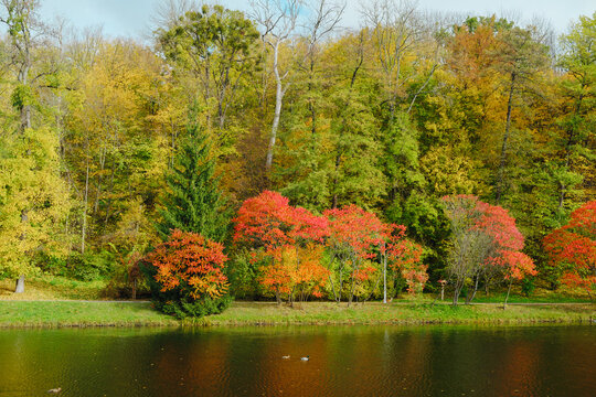 Vibrant autumn trees reflecting beautifully on a calm lake surrounded by natural scenery