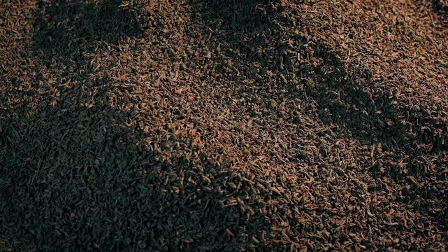 Pile Of Black Tea Rotating In The Sun