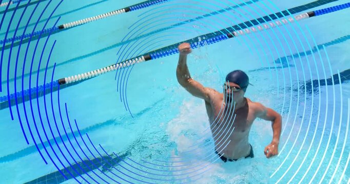 Male swimmer surfacing in sports pool, celebrating, pumping arm, circles sweeping around swimmer