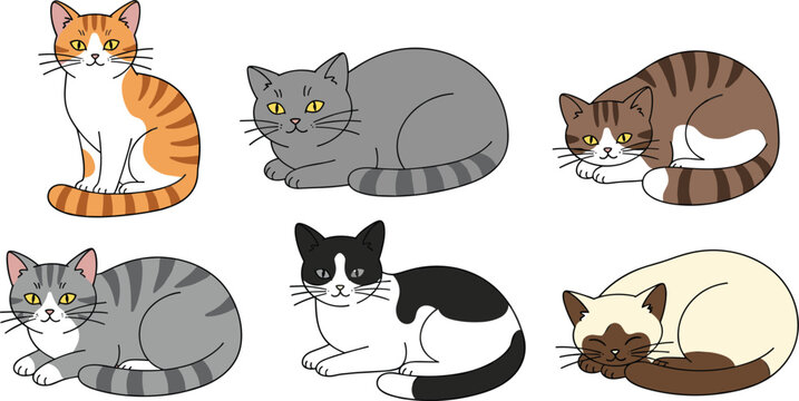 Black Cat Illustration SCat Illustration Set with Various Breeds and Sleeping Poseset with Cute Poses and Expressions
