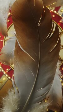 Vertical video: Moving camera bringing white feathers closer in mall, revealing quill detail, bulbs