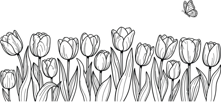A black and white drawing of a butterfly flying over a field of tulips