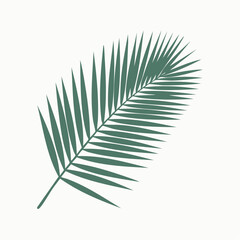 Fototapeta premium A single green palm frond isolated on a clean background viewed from a straightforward angle